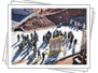 Breaching Circle 2015